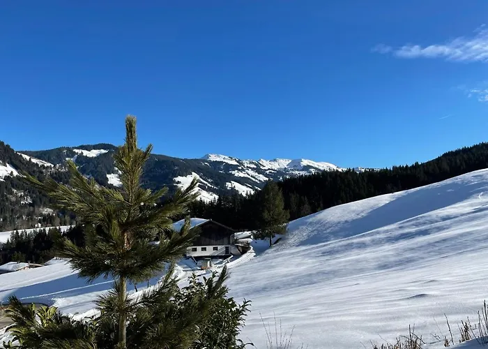 Karwendel By Interhome Lejlighed